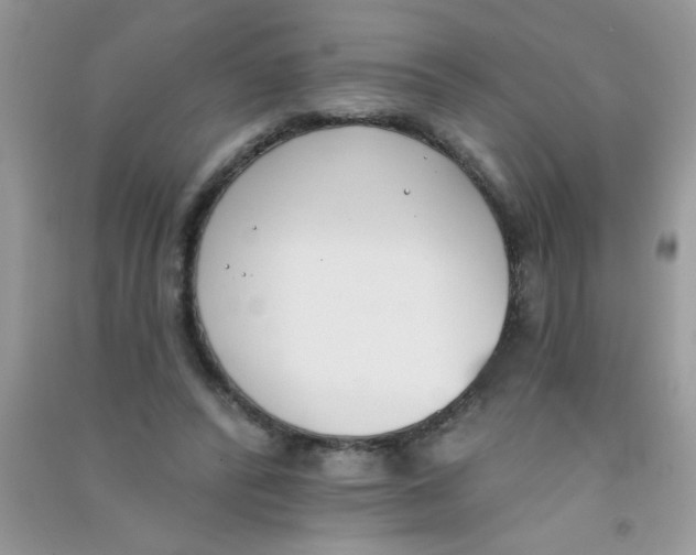 X0000090750400200708172031
