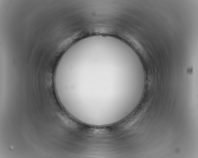 X0000090750401200708172031