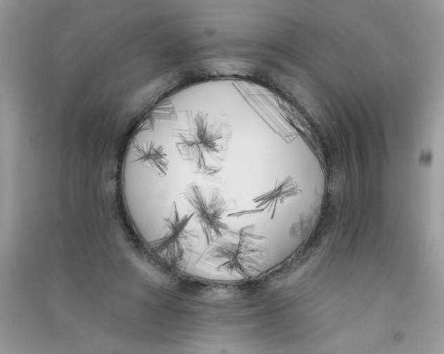 X0000090750402200708172031