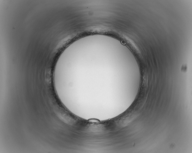 X0000090750403200708172031