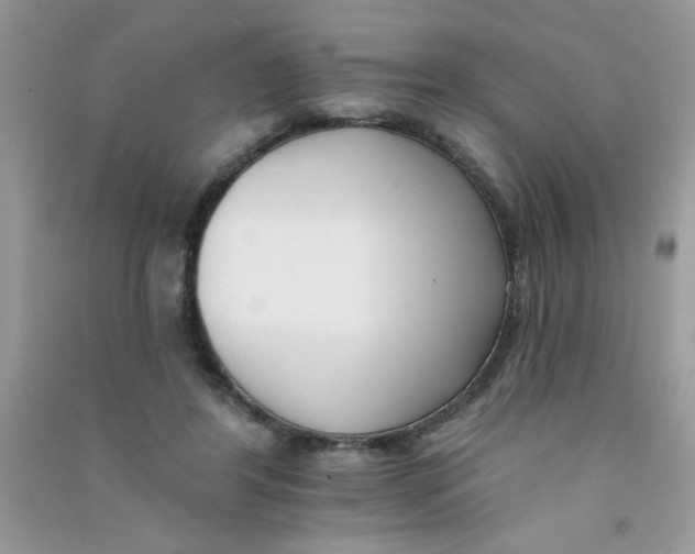 X0000090750404200708172031