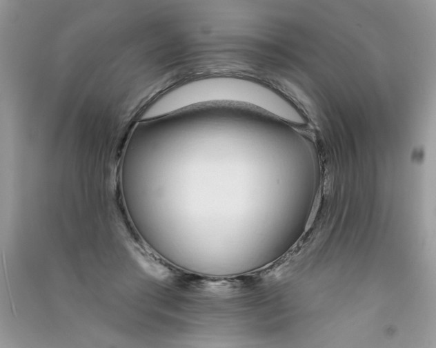 X0000090750405200708172031