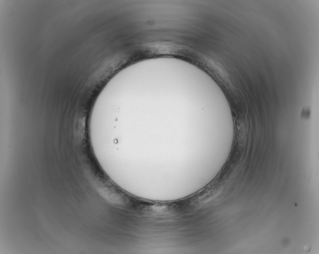 X0000090750406200708172031