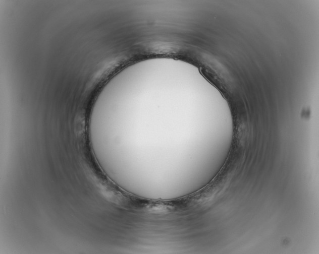 X0000090750407200708172031