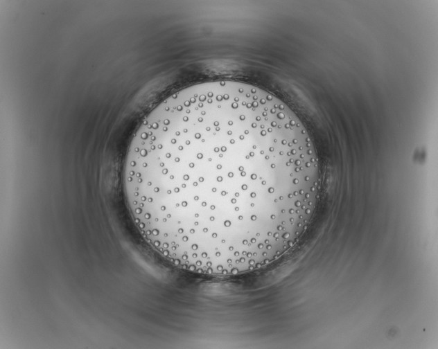 X0000090750408200708172031