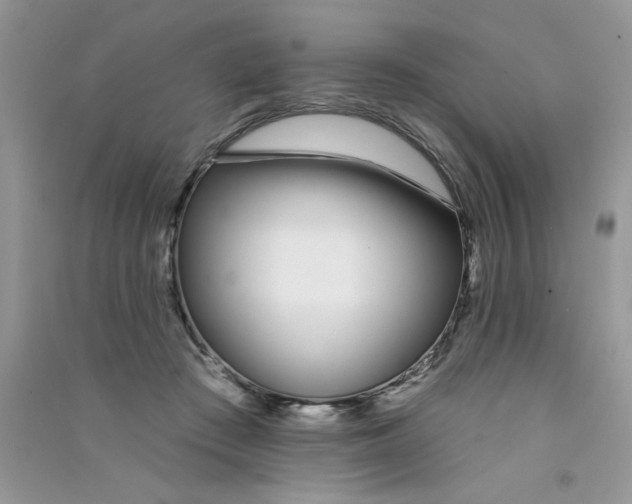 X0000090750409200708172031