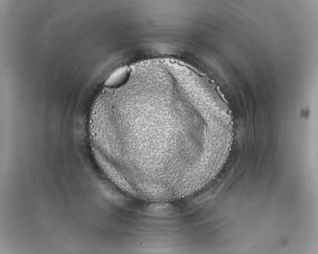 X0000090750410200708172031