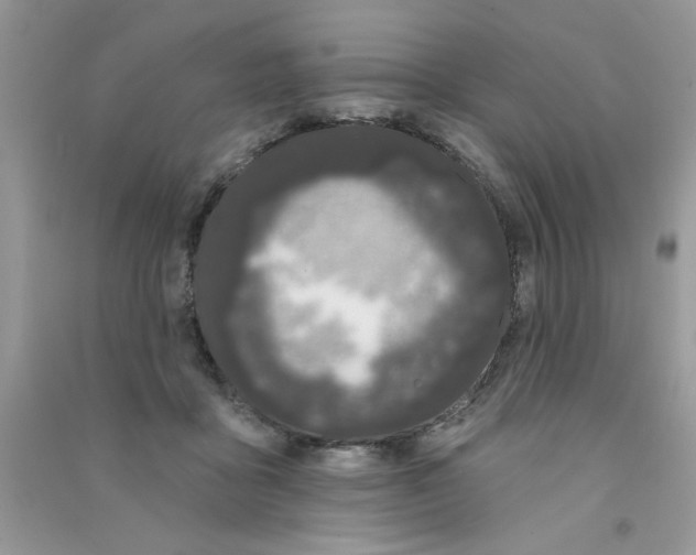 X0000090750411200708172031