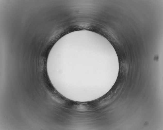X0000090750412200708172031