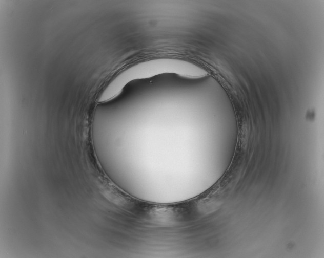 X0000090750413200708172031