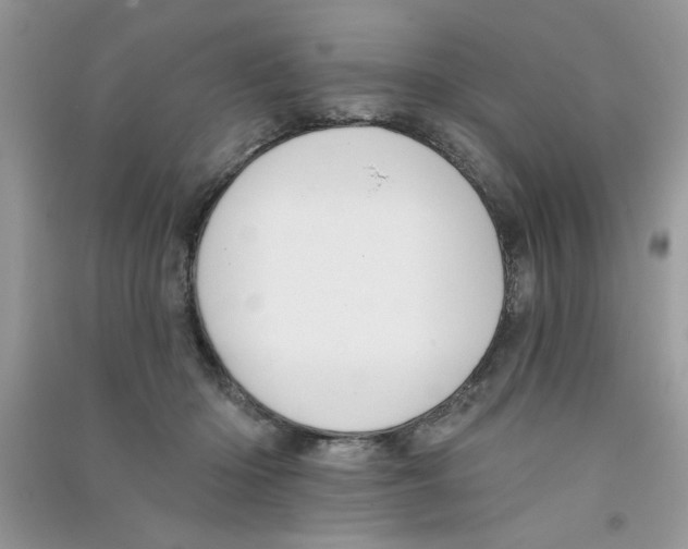 X0000090750414200708172031