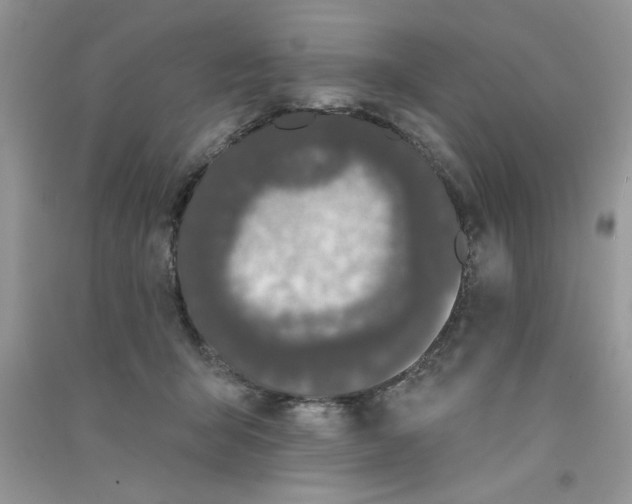 X0000090750415200708172031