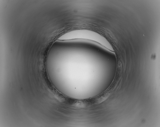 X0000090750416200708172031