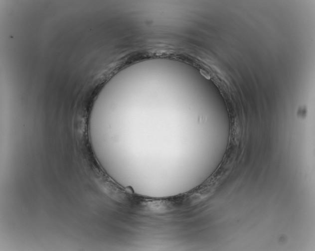 X0000090750417200708172031