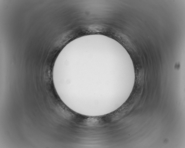 X0000090750418200708172031