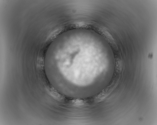 X0000090750419200708172031