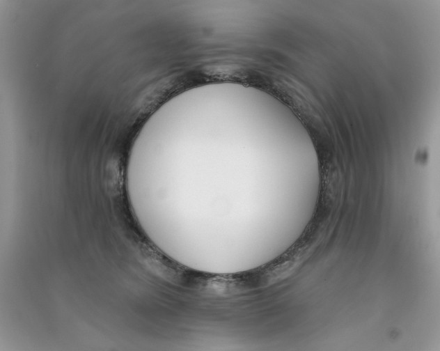 X0000090750420200708172031