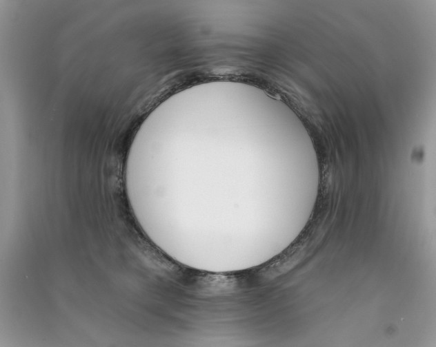 X0000090750421200708172031