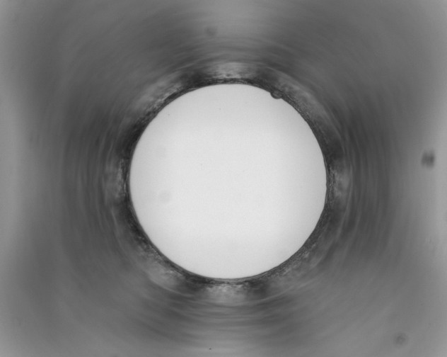 X0000090750422200708172031
