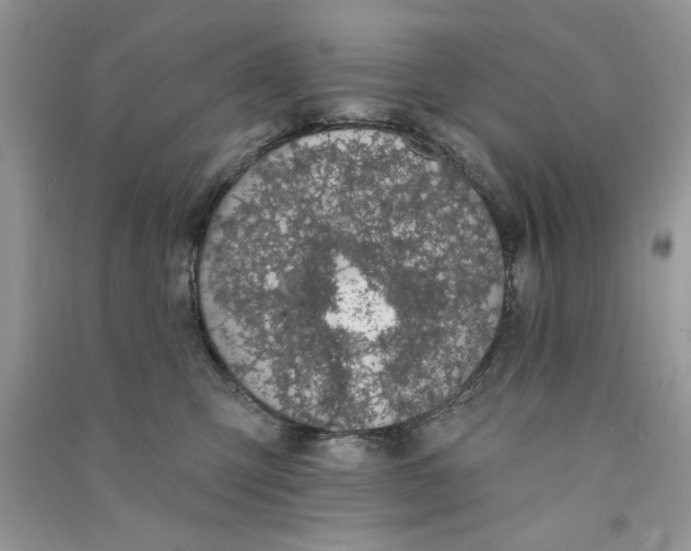 X0000090750423200708172031