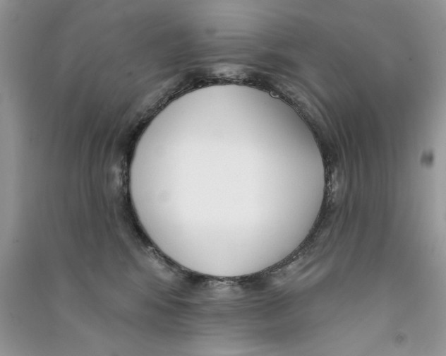 X0000090750424200708172031