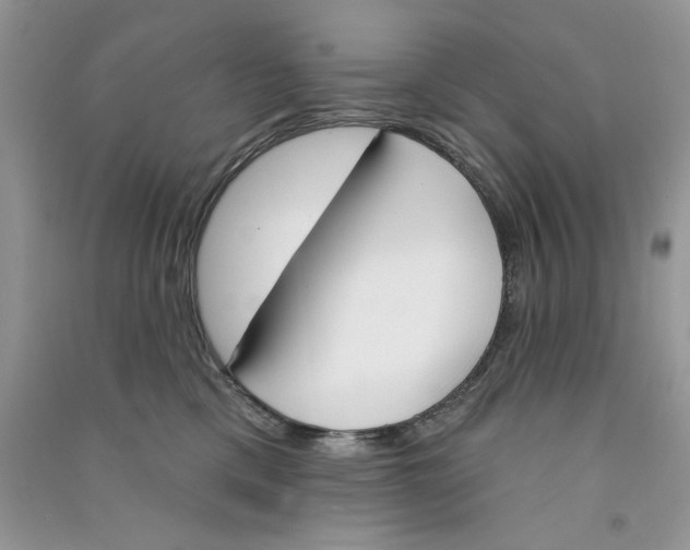 X0000090750425200708172031