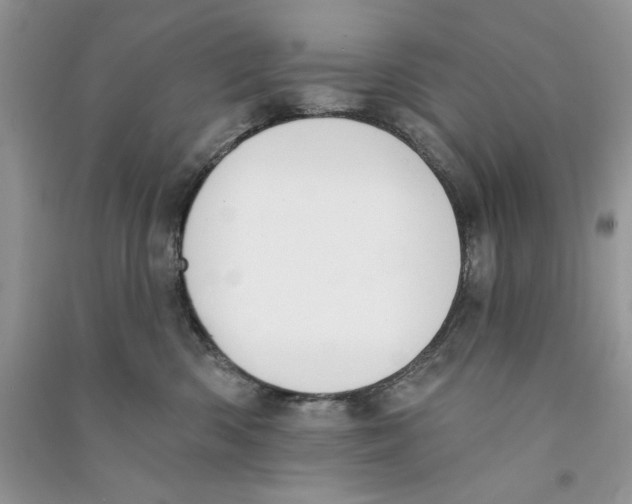 X0000090750426200708172031