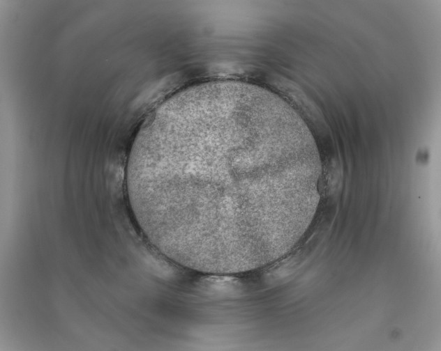 X0000090750427200708172031