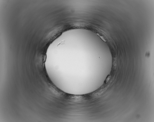 X0000090750428200708172031
