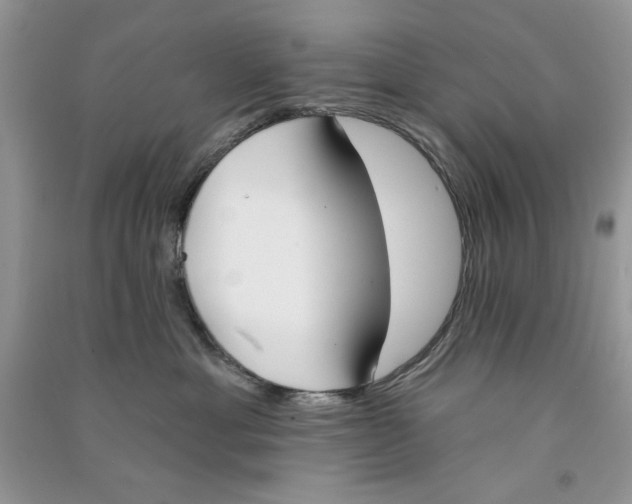 X0000090750429200708172031