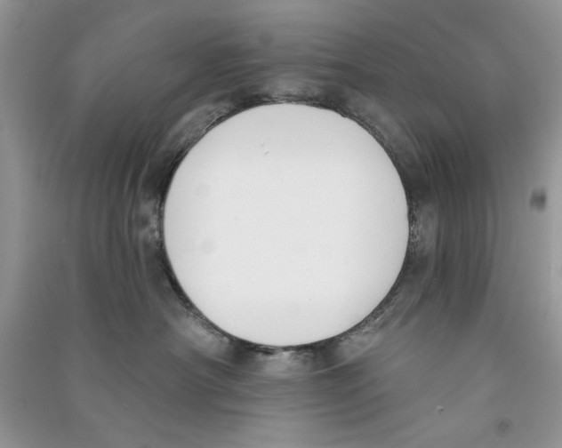 X0000090750430200708172031