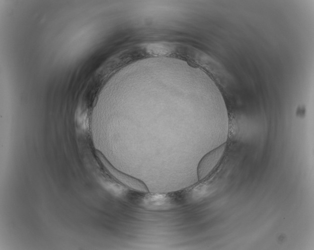 X0000090750431200708172031