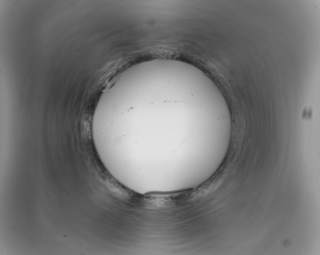 X0000090750432200708172031