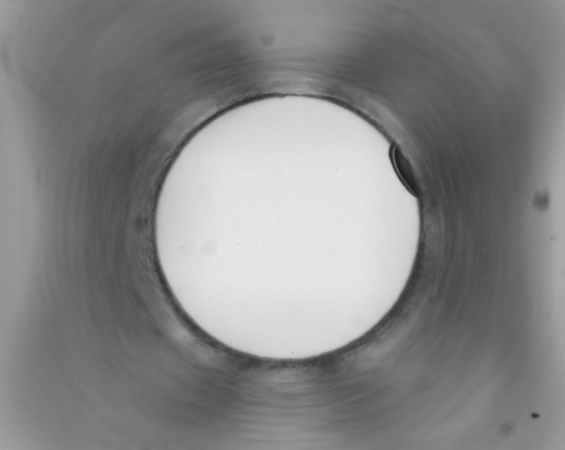 X0000090750433200708172030