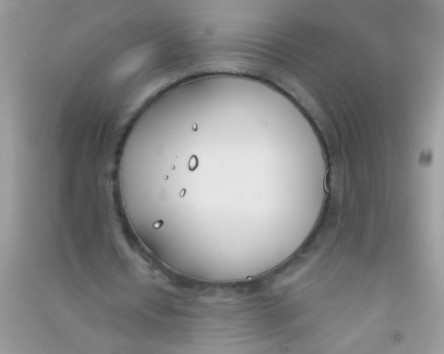 X0000090750434200708172030