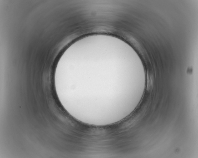 X0000090750435200708172030