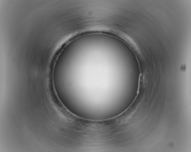 X0000090750436200708172030