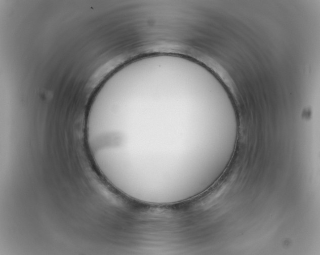 X0000090750437200708172031