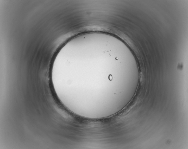 X0000090750438200708172031