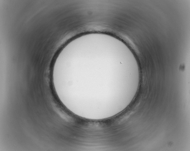 X0000090750439200708172031