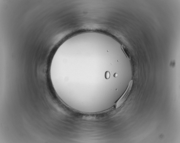 X0000090750440200708172031