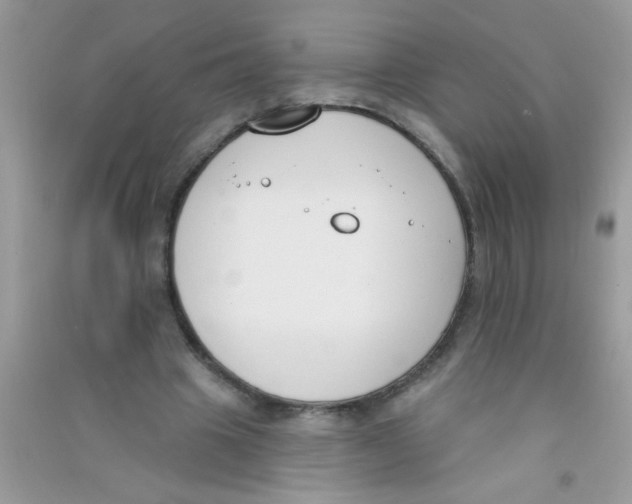 X0000090750441200708172031