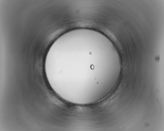 X0000090750442200708172031
