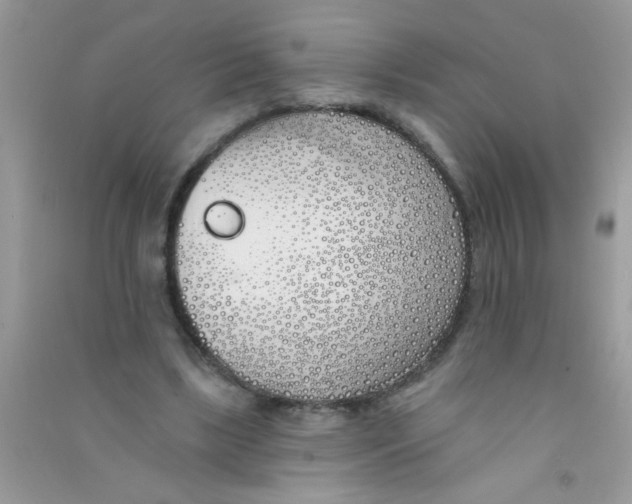 X0000090750443200708172031