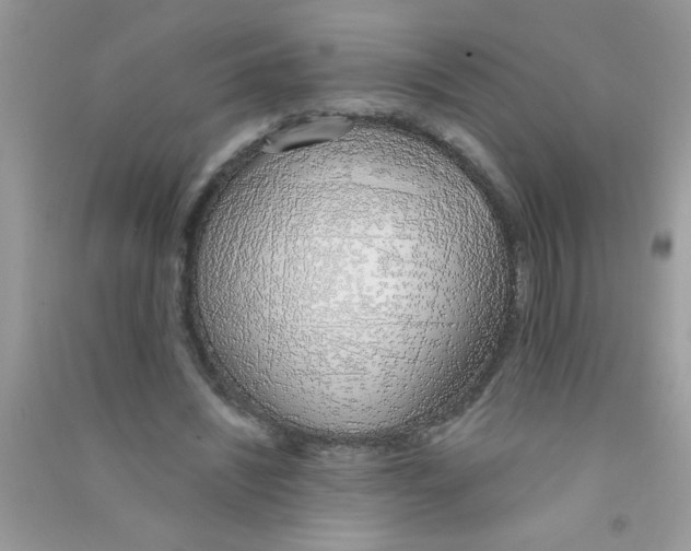 X0000090750444200708172031