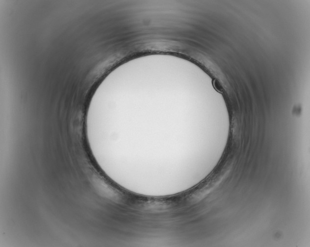 X0000090750445200708172031