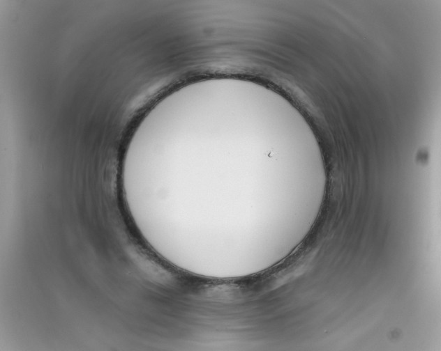 X0000090750446200708172031