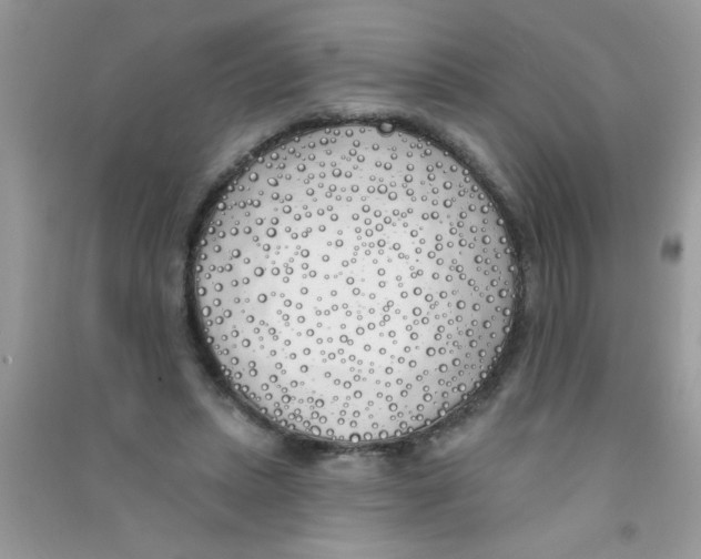 X0000090750447200708172031