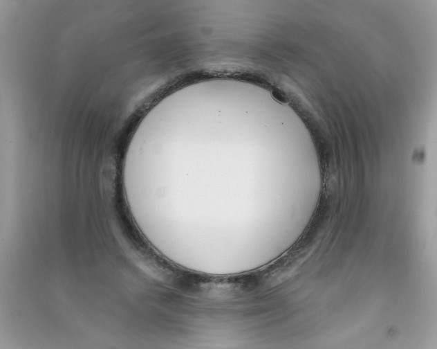 X0000090750448200708172031