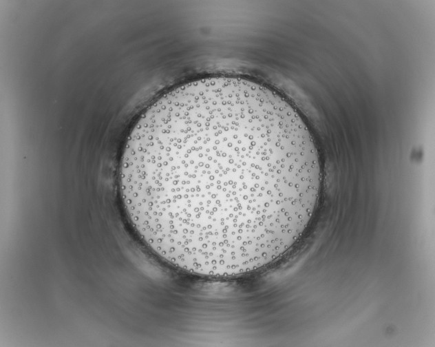 X0000090750449200708172031
